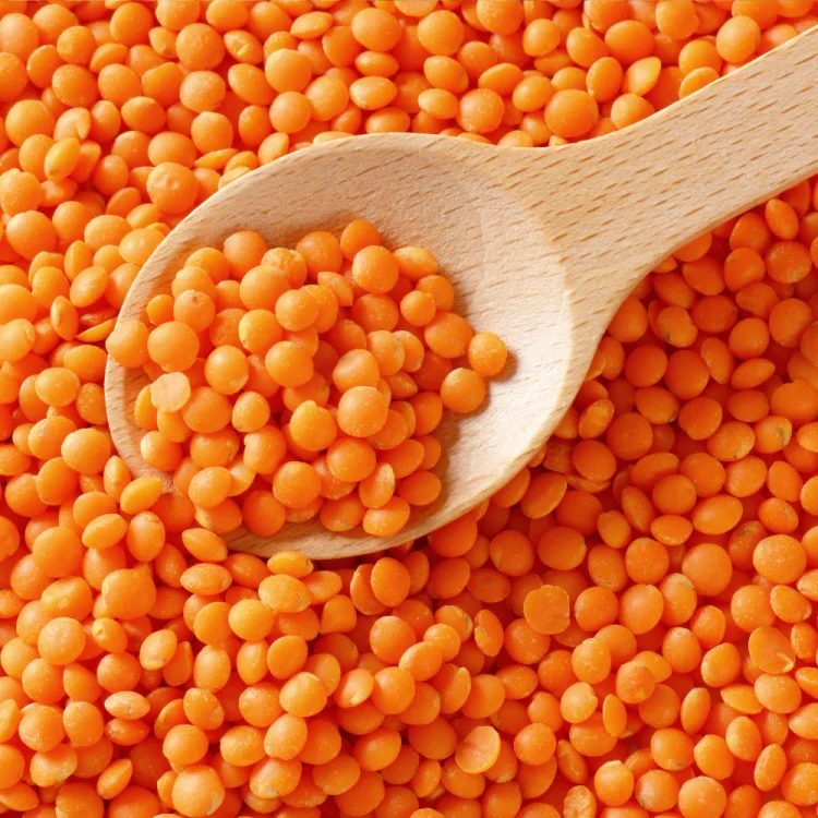 d3ff9d0520a12d8fb5f5bb4eac3498b7.png